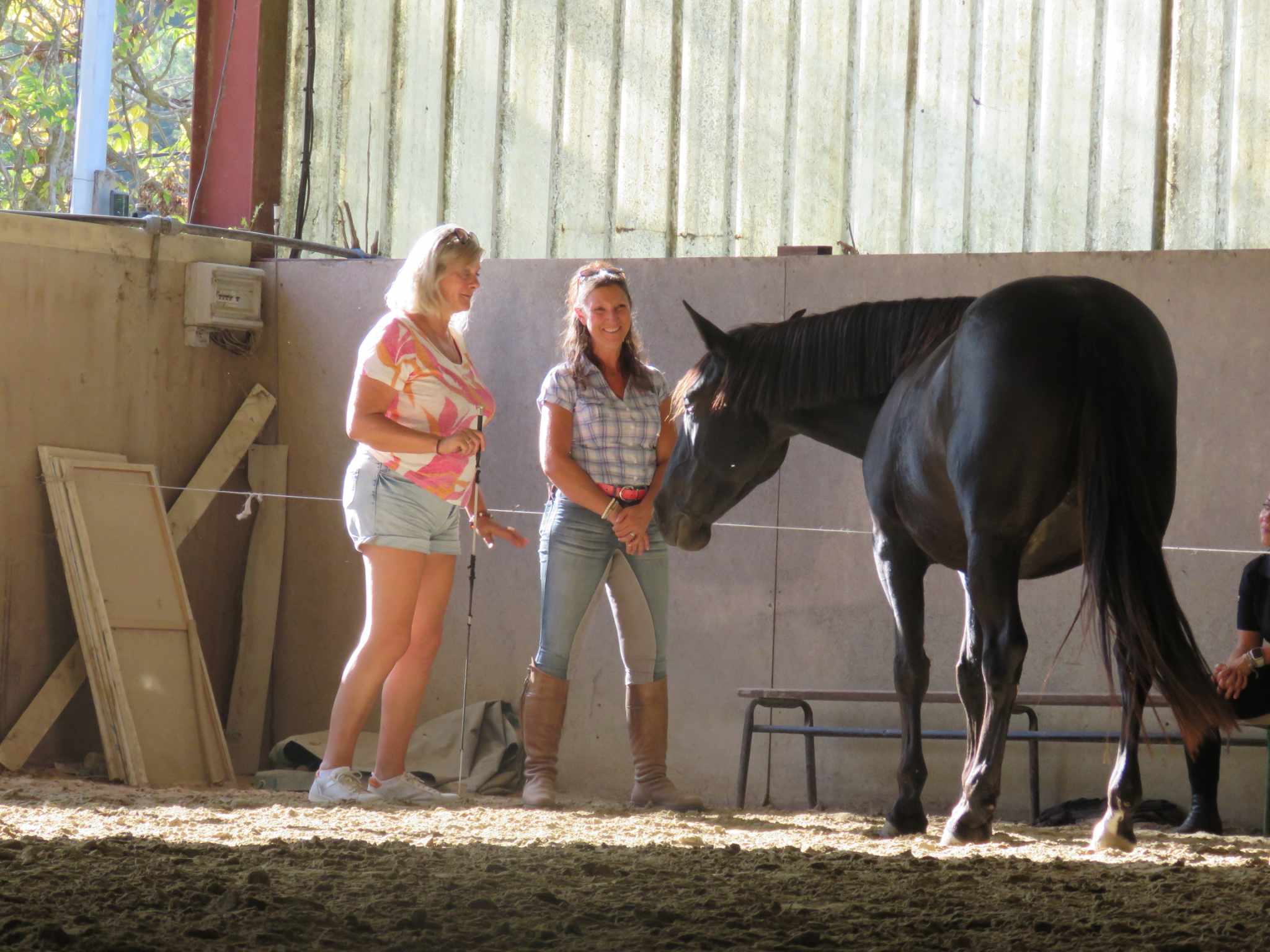 Séminaire Équicoaching : Dompte ta posture professionnelle grâce au cheval ! 387490058 1498931434201656 7693215031810029777 n - Séminaire Équicoaching : Dompte ta posture professionnelle grâce au cheval !