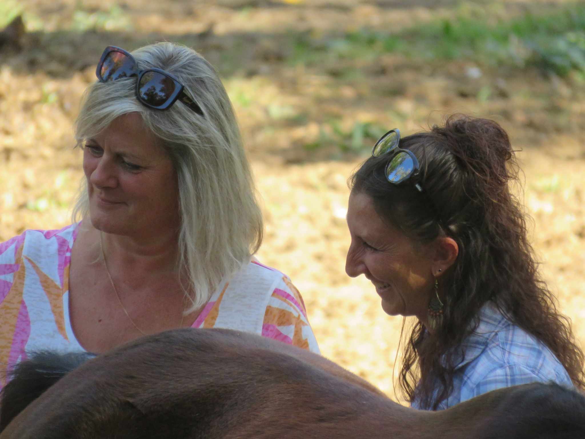 Séminaire Équicoaching : Dompte ta posture professionnelle grâce au cheval ! 387525357 864471025061787 5686041958303552210 n - Séminaire Équicoaching : Dompte ta posture professionnelle grâce au cheval !