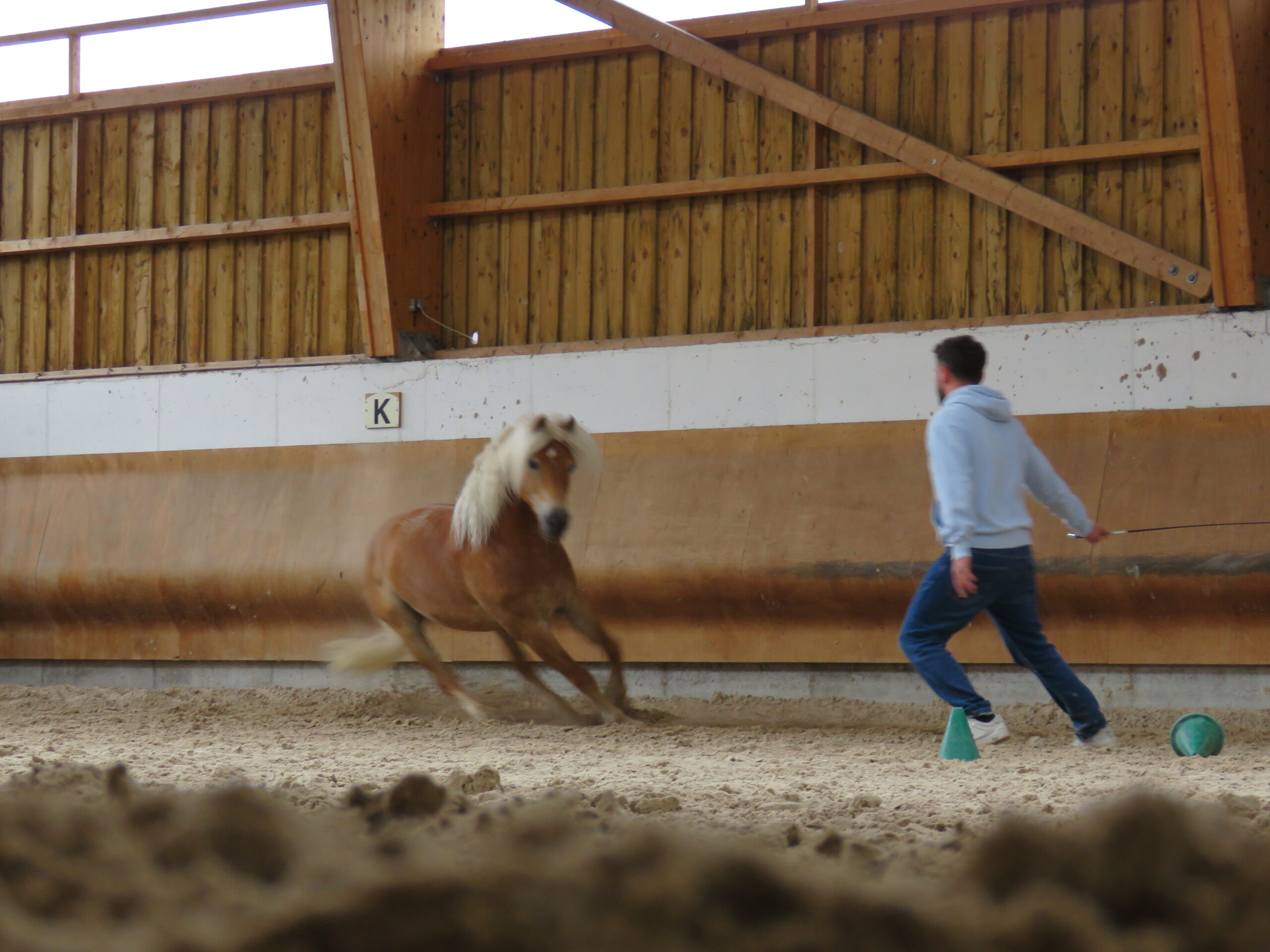 Séminaire Équicoaching : Dompte ta posture professionnelle grâce au cheval ! IMG 6121 scaled - Séminaire Équicoaching : Dompte ta posture professionnelle grâce au cheval !